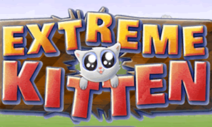 Extreme Kitten